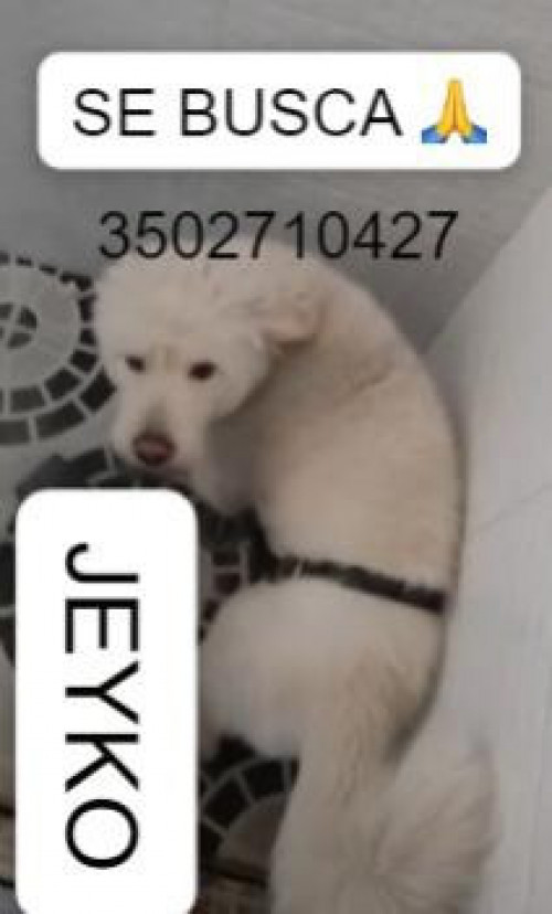 Jeyko