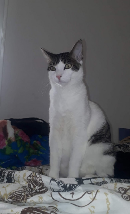  Martín