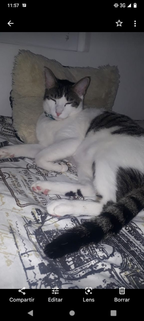  Martín