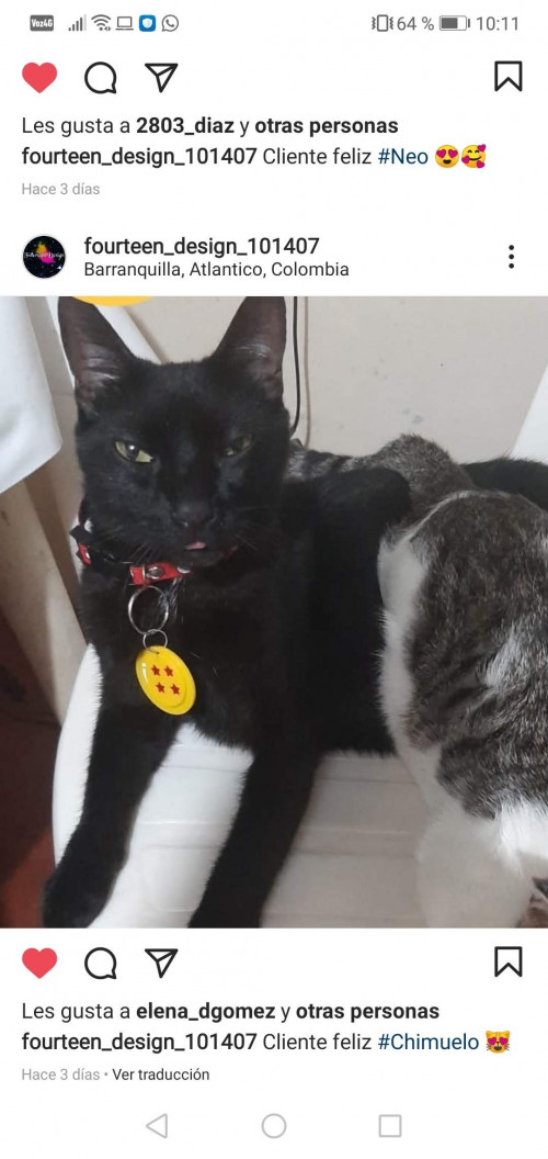 Chimuelo