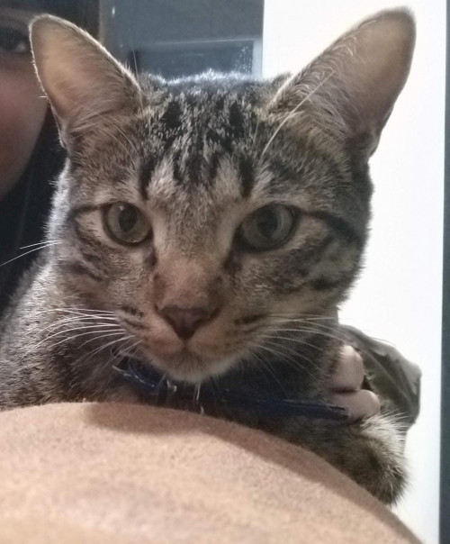 Zeus
