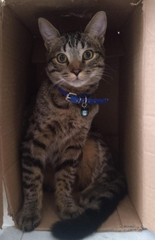 Zeus