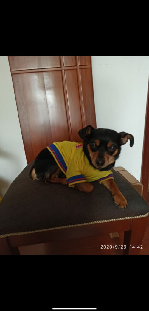 Lucas