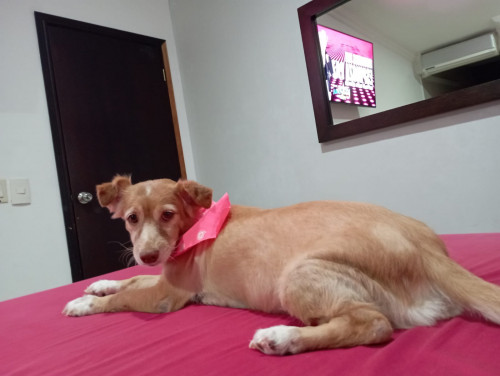 Eimy