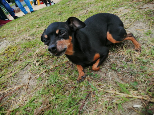 Loky