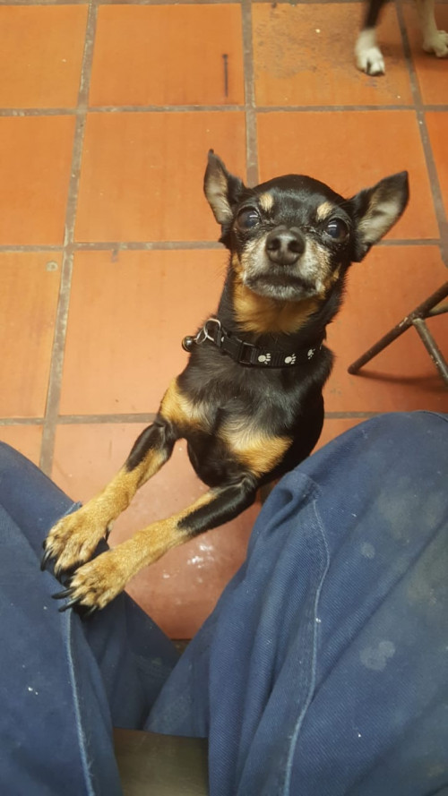 Loky