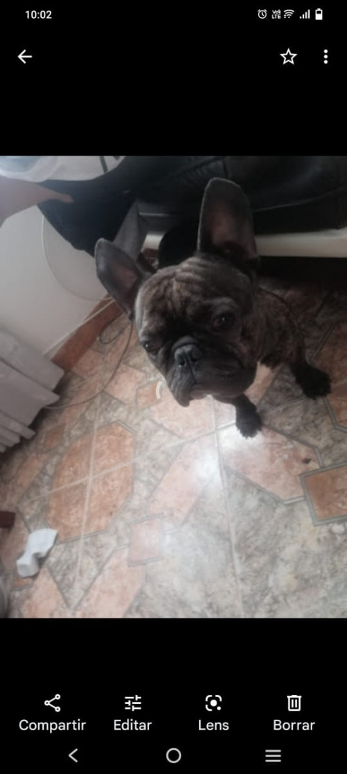 Mailo