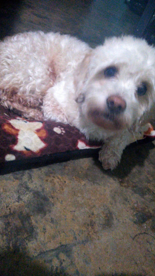 Jerry