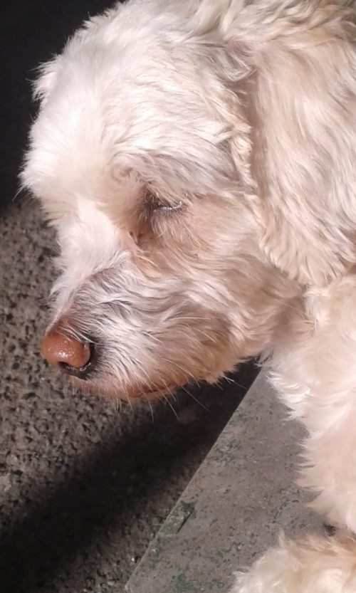 Jerry