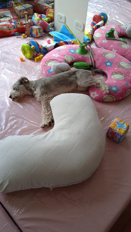 Paco