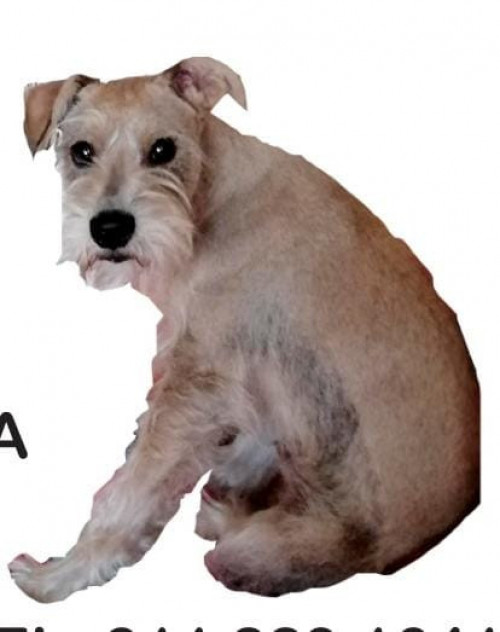 Paco