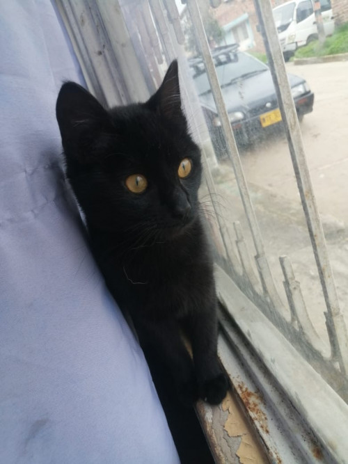 Luna