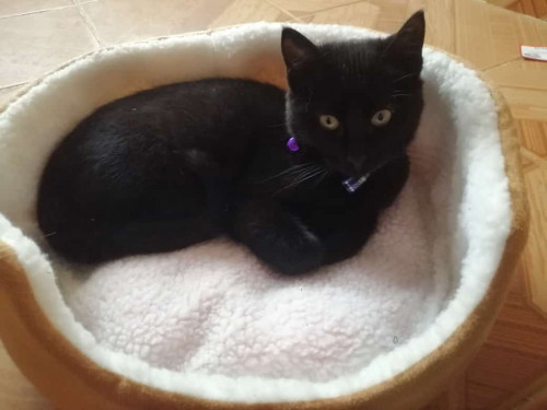 Luna