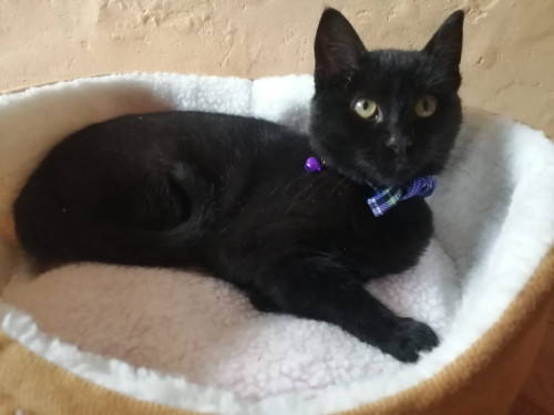 Luna