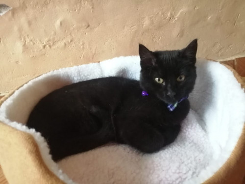 Luna