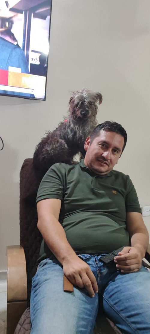 Pía
