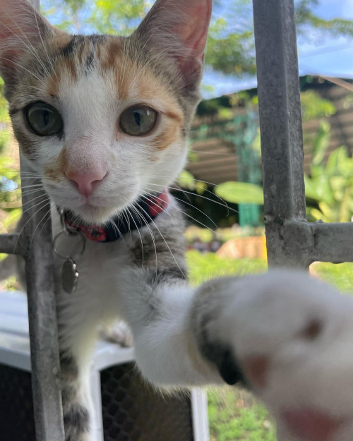 Luna