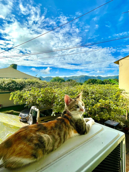 Luna