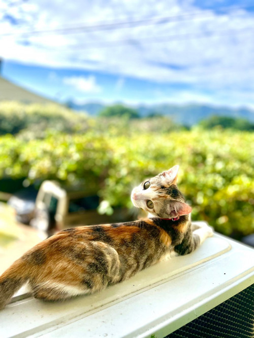 Luna