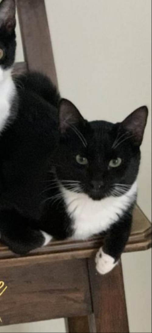 Ramón