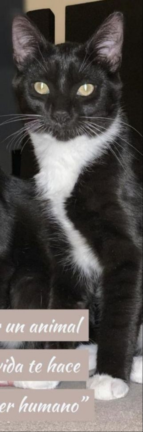 Ramón