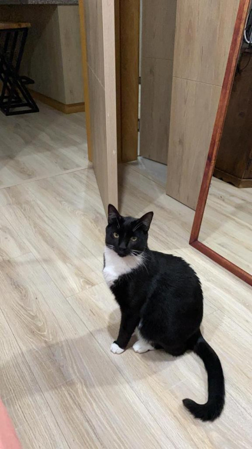 Ramón