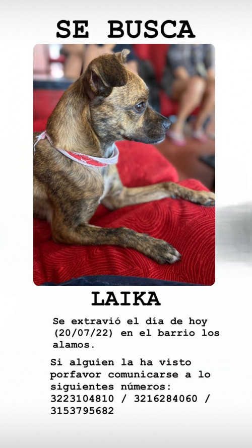 Laika