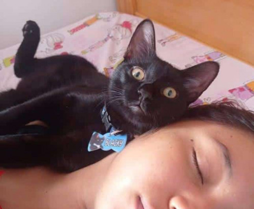 Blacky
