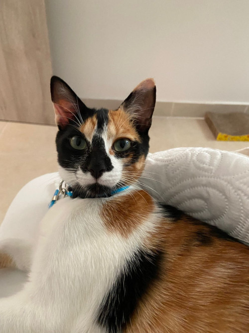 Helga