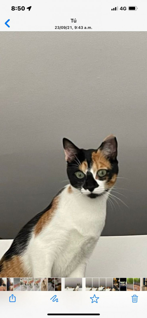 Helga