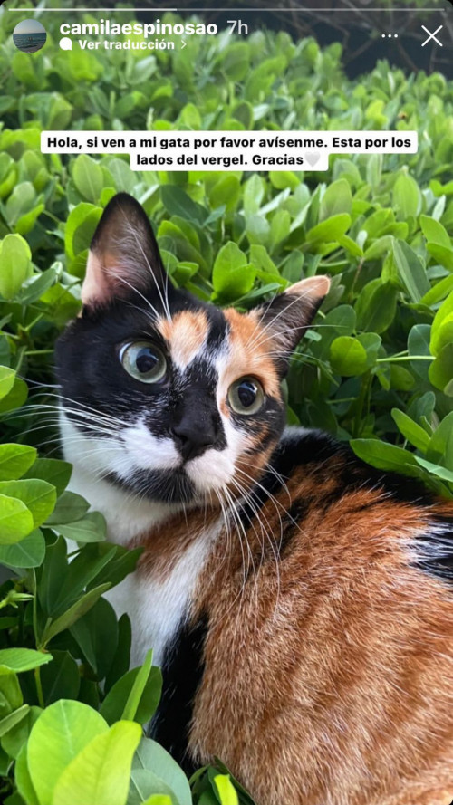 Helga