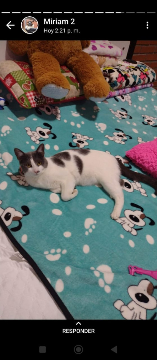 Mimi