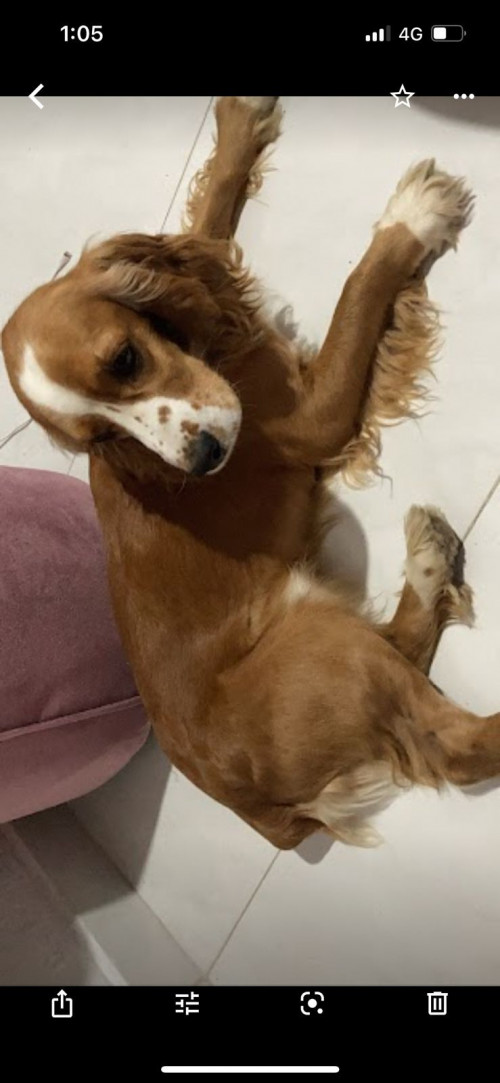 Martín