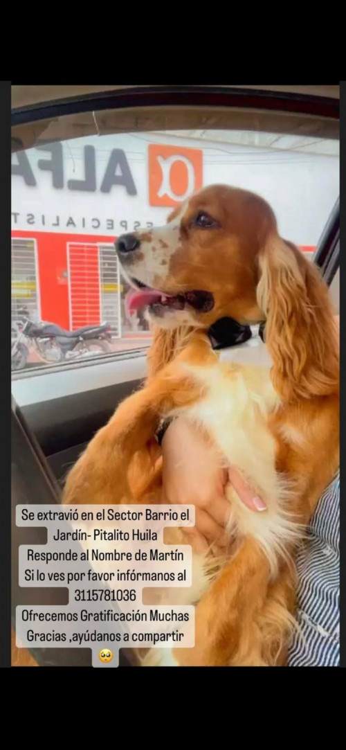 Martín