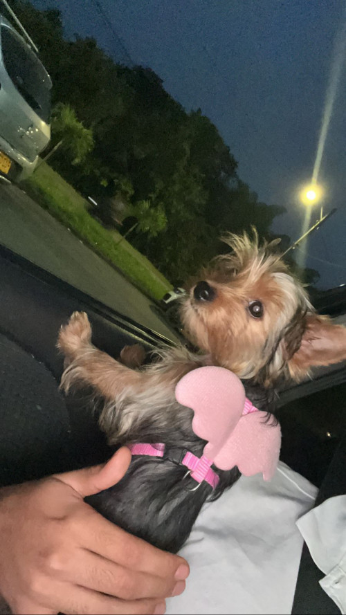 Molly