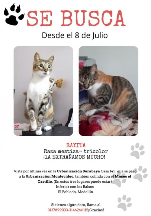 Rayita