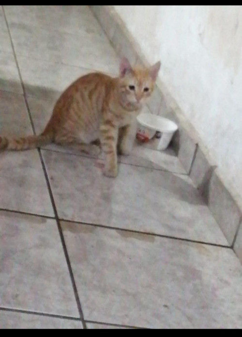 Billy