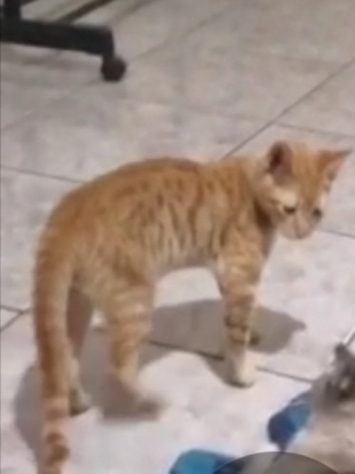 Billy
