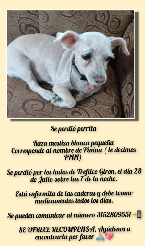Pinina