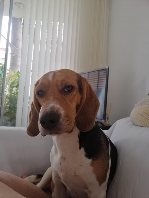 Odin