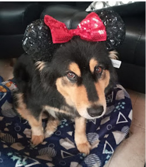 Maya 