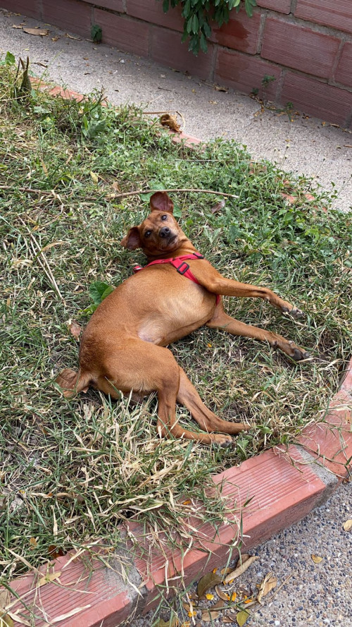 Max
