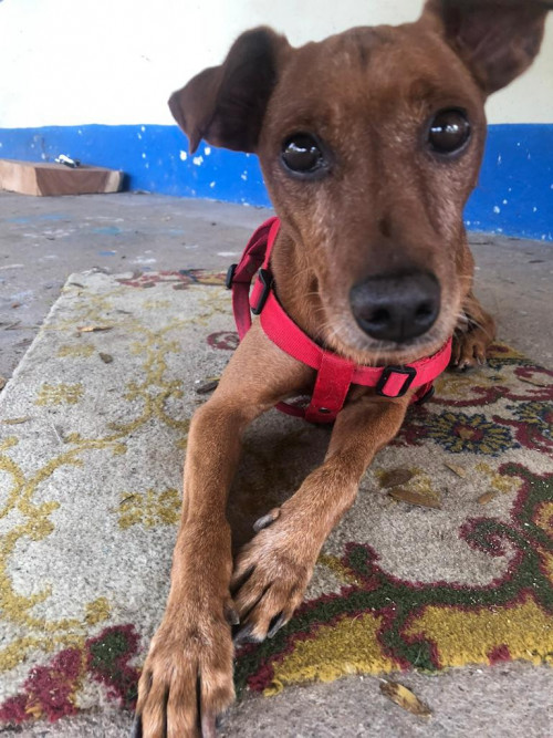 Max