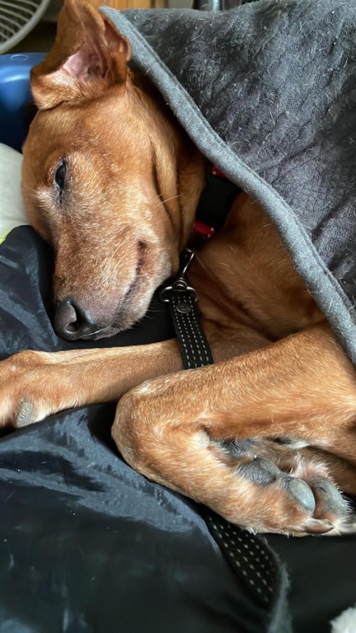 Max
