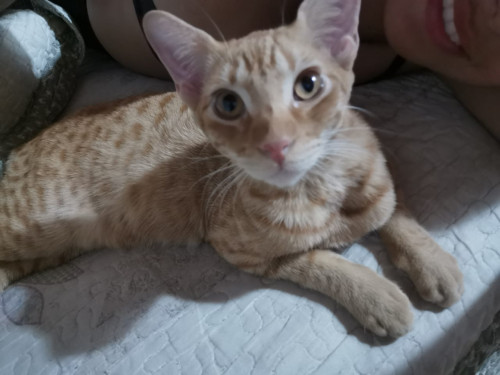 Max