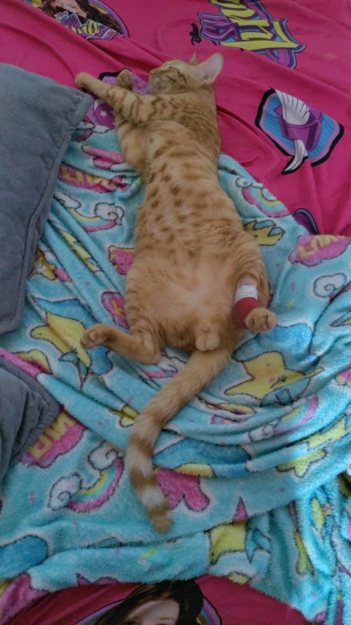 Max