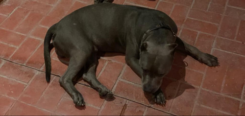 Spike