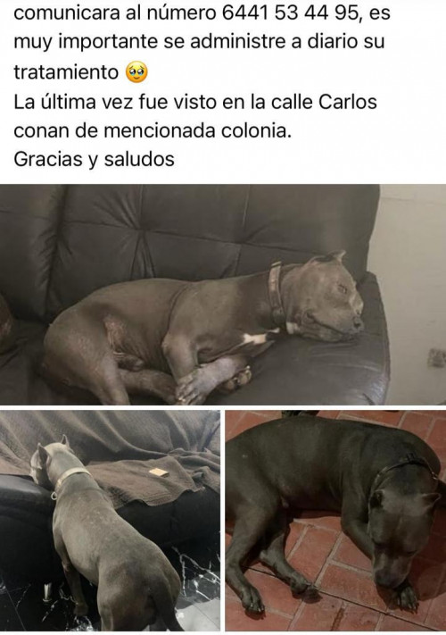 Spike