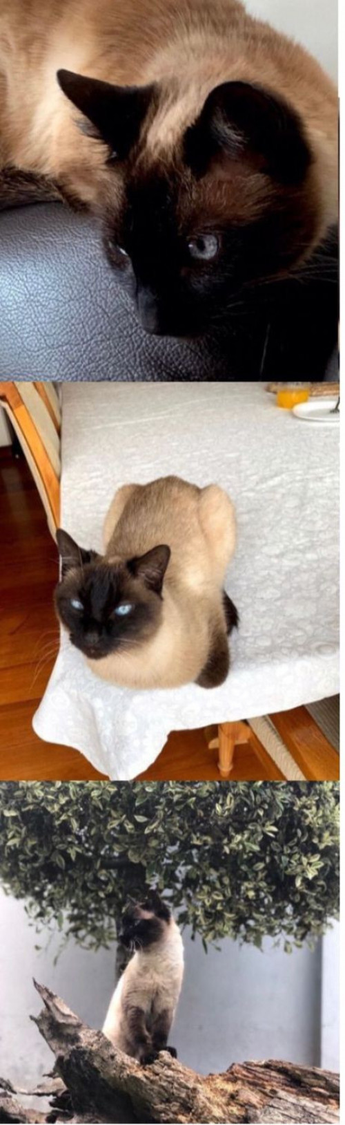 Lupita