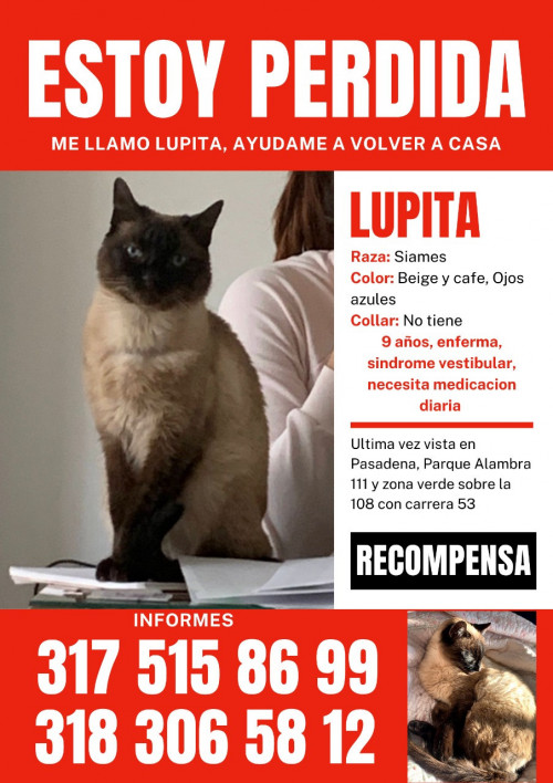 Lupita